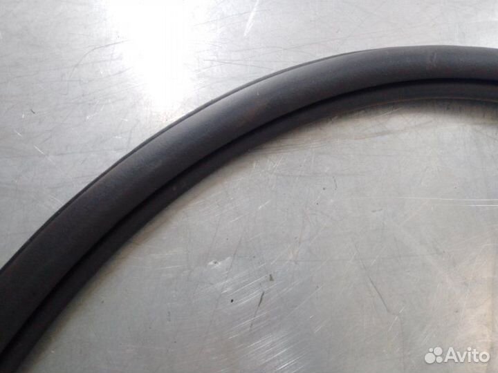 Уплотнитель двери Skoda Octavia Rs (A7) 2013-2020