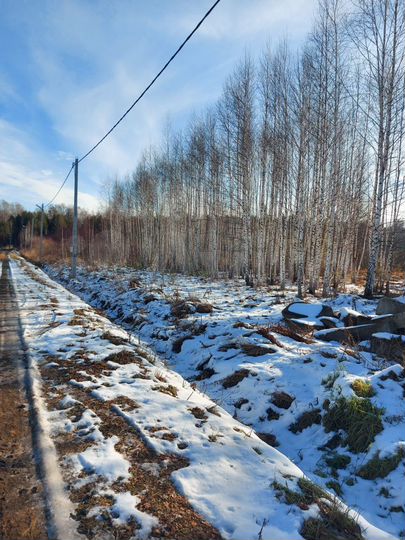 Участок 18 сот. (СНТ, ДНП)