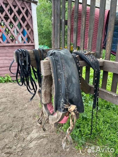 Упряжь для лошади