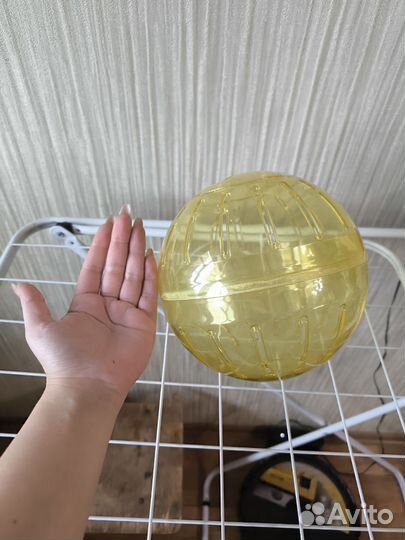 Прогулочный шар для грызунов