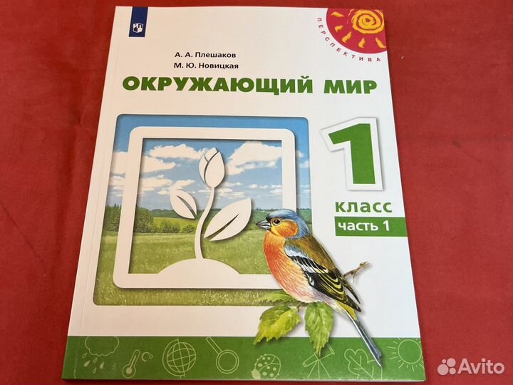 Окружающий 1 класс плешаков новицкая перспектива