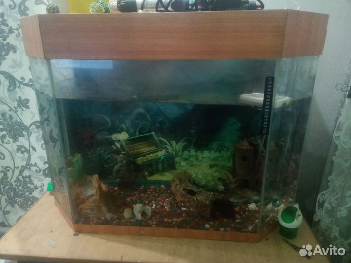 Аквариум