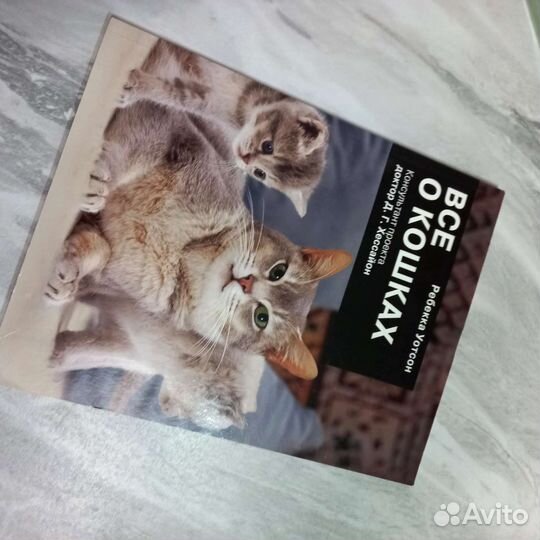 Интересная книга про кошек