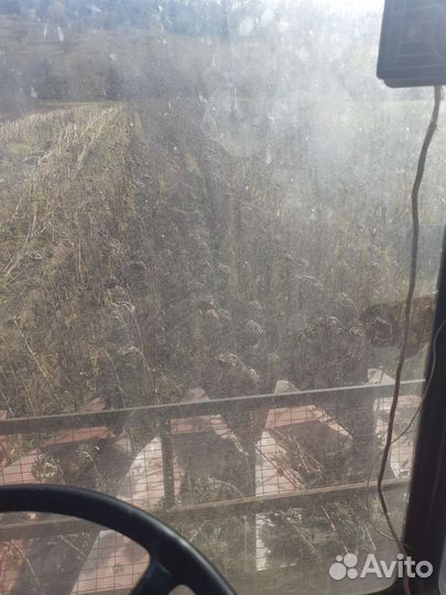 Подсолнечник на масло