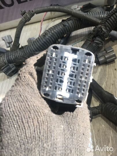 Проводка подкапотная двигателя Nissan tiida