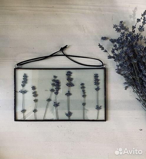 Гербарий в стекле «Лавандовый цвет»