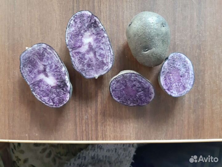 Семенной и едовой картофель