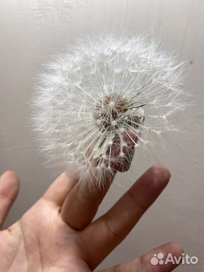 Брошь цветок из шелка