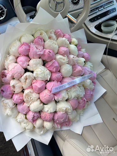 Пионы оптом