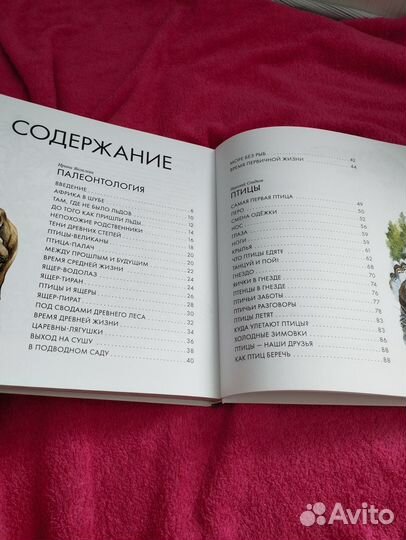 Детская энциклопедия животного мира