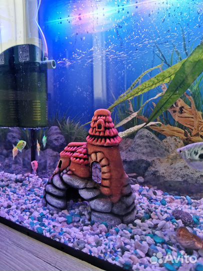 Аквариум