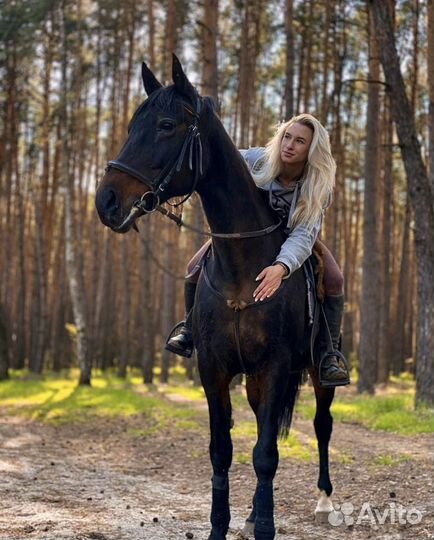 Конные прогулки