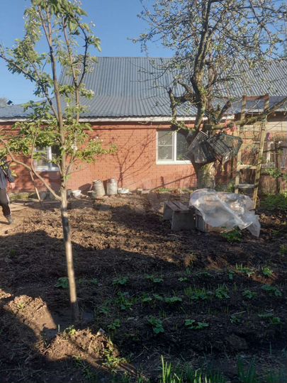 Дом 58 м² на участке 3 сот.