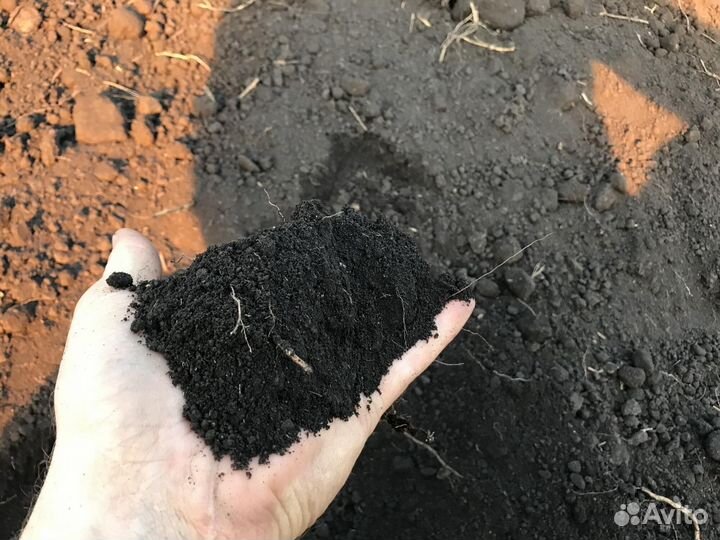Чернозем торф торфосмесь