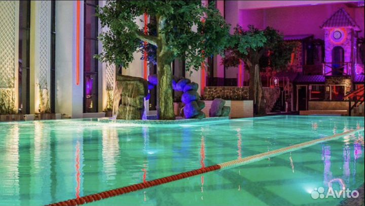 Абонемент зебра Клен