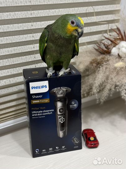 Новая Philips S9000 Prestige SP9872/22