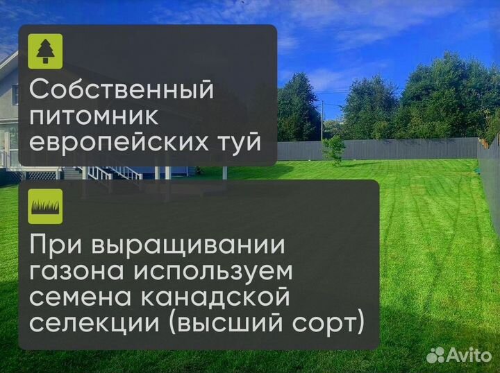 Рулонный газон 100% приживаемость