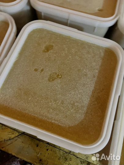 Эспарцетовый свежий мед оптом