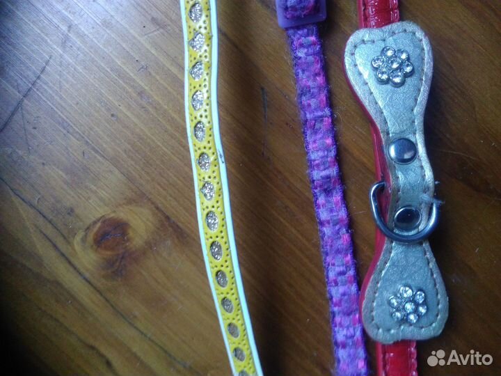 Ошейники для кошек