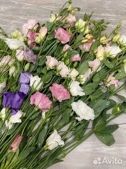 Лизиантус букет, цветы эустома