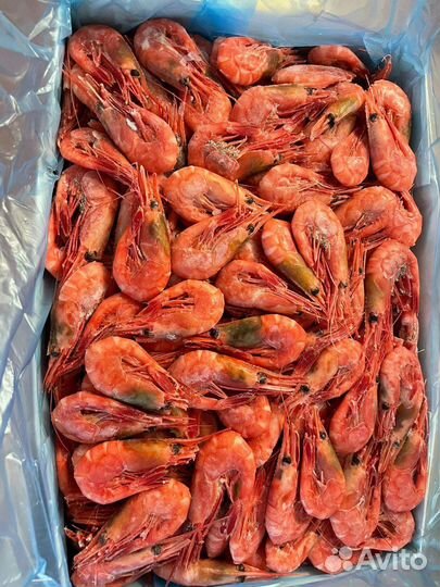 Креветка магаданская 60-80, 70-90 Ниже рынка