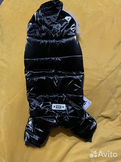 Одежда для собак