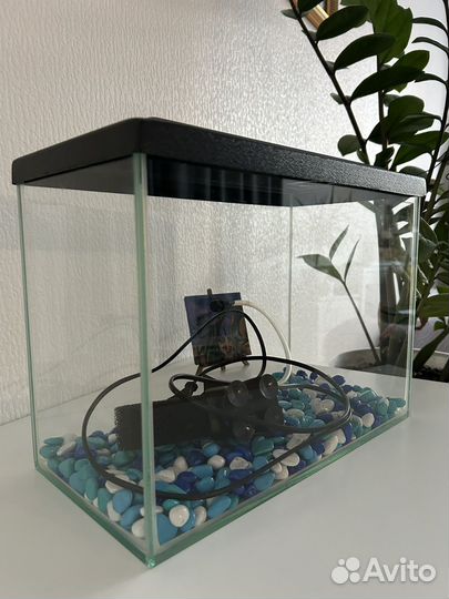 Аквариум 10 литров