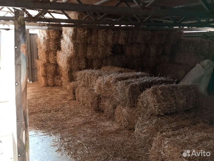 Корма сено солома зерно пшеница кукуруза