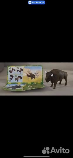 Киндер сюрприз maxi Natoons