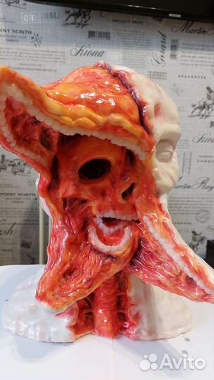 Зомби-мутант