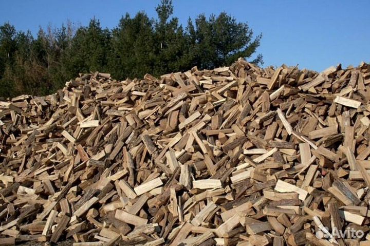 Дрова со Всеволожска