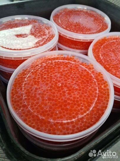 Икра красная кеты 2023