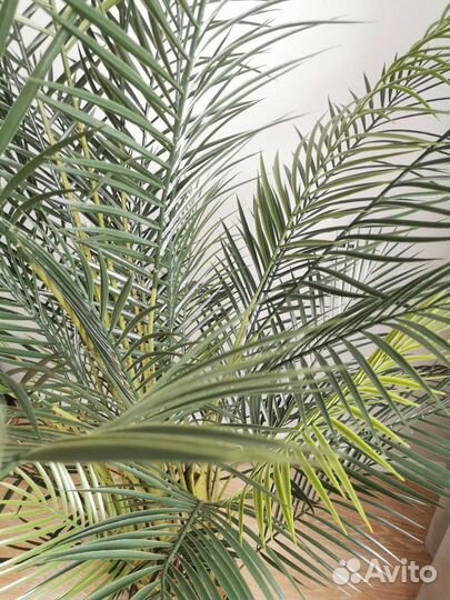 Дерево искусственное пальма в кашпо