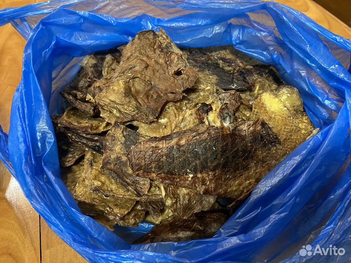 Собачий корм аорта и вымя говяжье