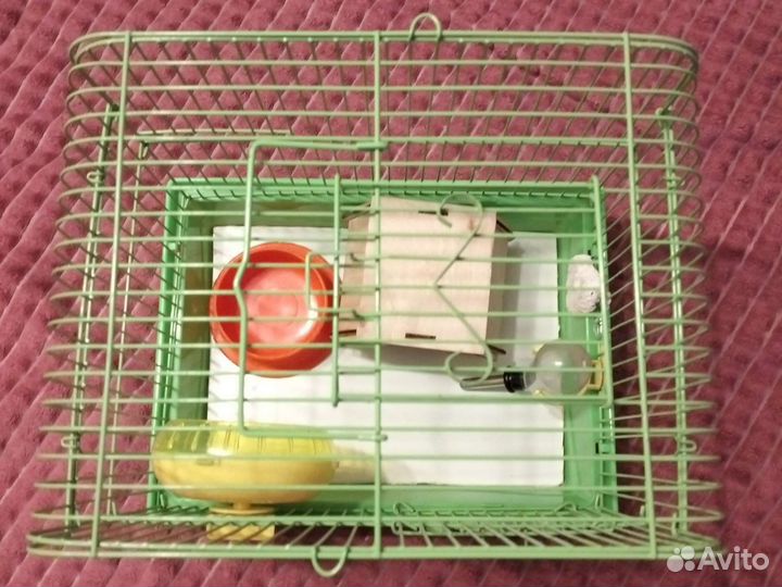 Клетка для грызунов