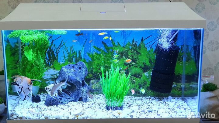 Аквариум aquael 105л
