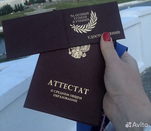 Репетитор по русскому языку и по литературе всош