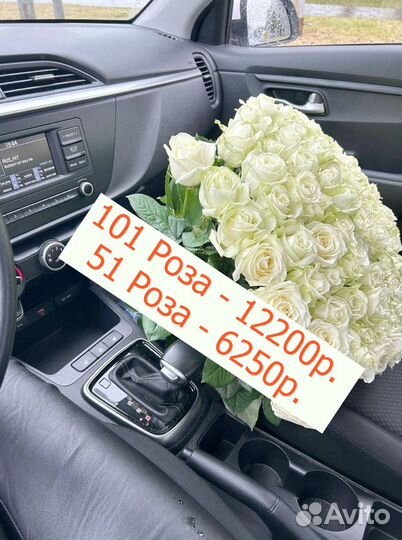101 роза 51 роза цветы букеты