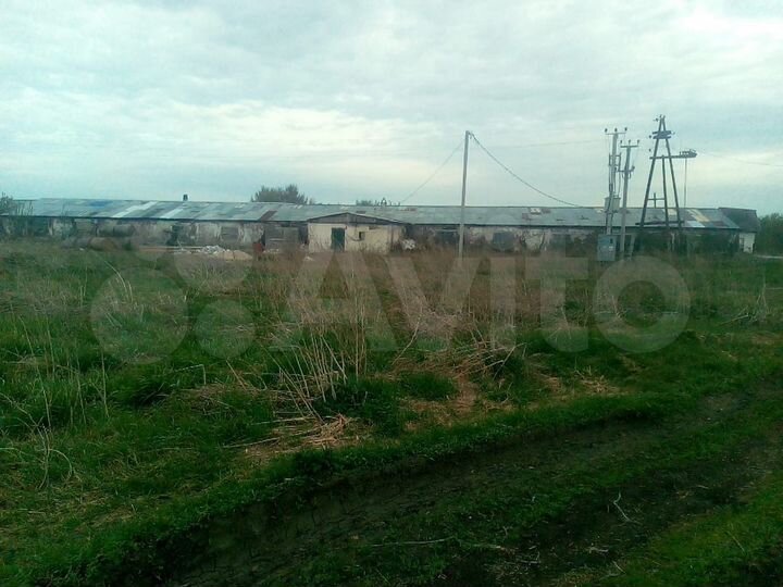 Участок 1 сот. (СНТ, ДНП)