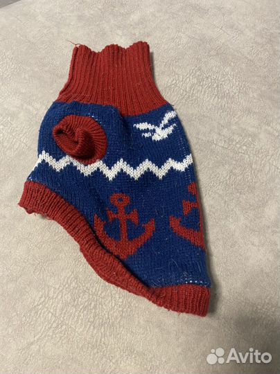 Одежда для собак