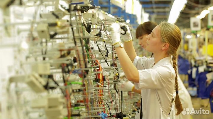 Вязальщик- Вахта, Городец