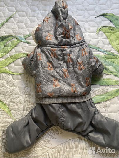 Комбинезон для собаки