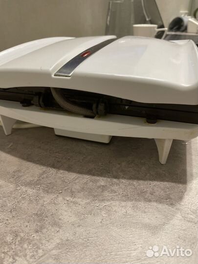 Орешница электрическая