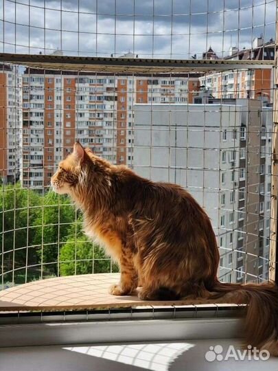 Балкончик для кошки