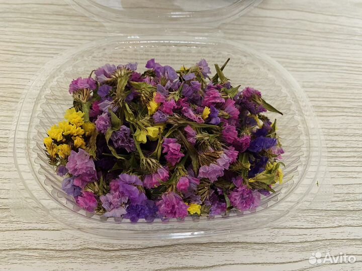 Статица сухоцвет