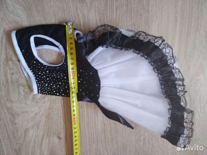 Одежда для собак