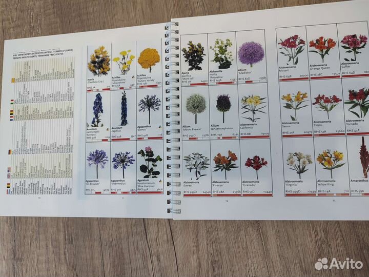 Каталог цветов