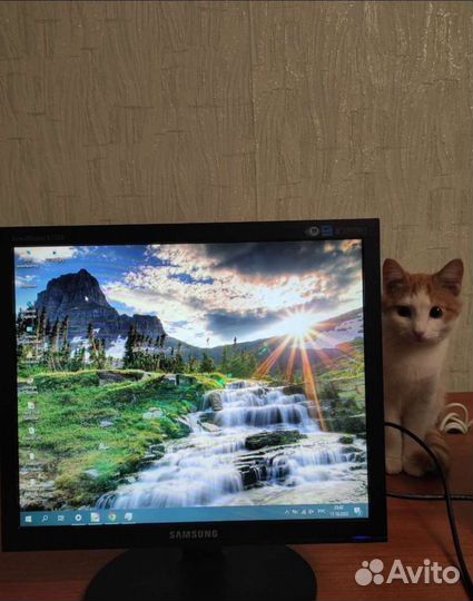 Мониторы 15 17 18,5 19