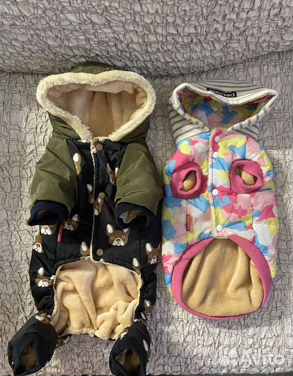 Комбинезон для собаки petmax