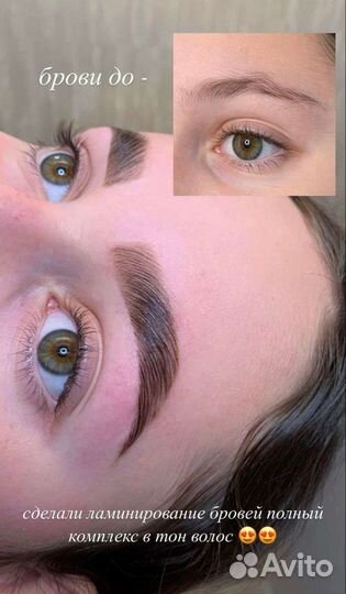 Обучение master бровист